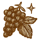 Rich in Anthocyanins